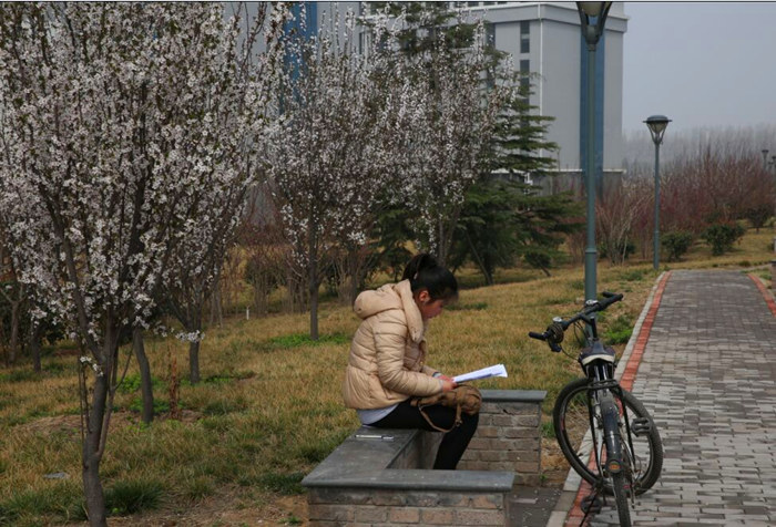 春风拂面花相伴