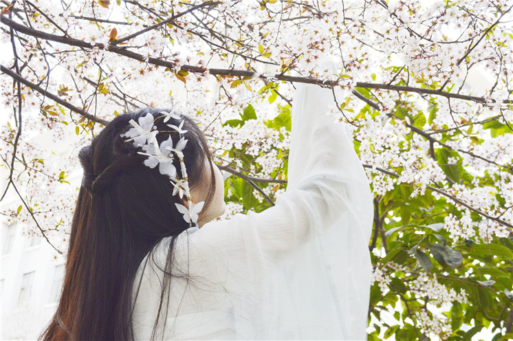 春风拂槛露华浓