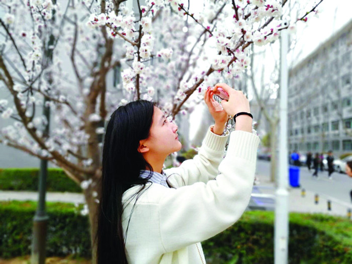拍樱花的小姐姐