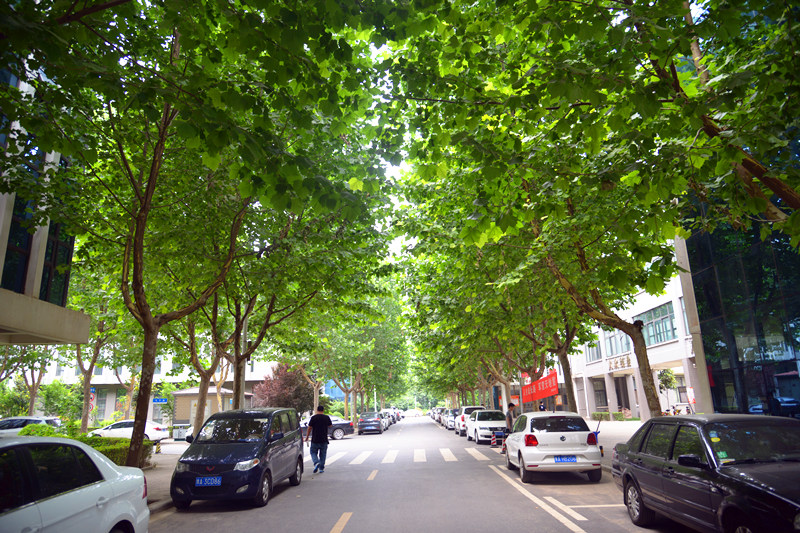 大学生创业园楼前