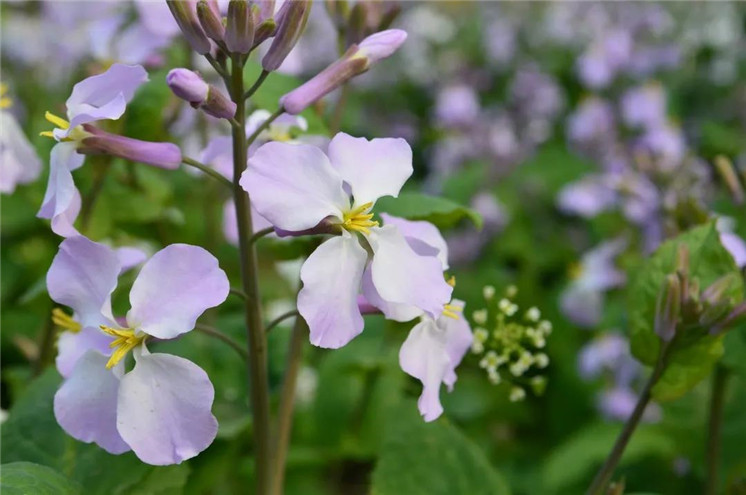 星星点点 黯然生辉
